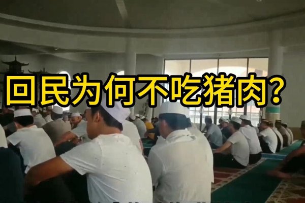 回民为何禁食猪肉-红迪亚