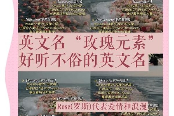 好听的女生英文名汇总，小众且寓意美好，包含r开头、简短洋气的英文名字，如Rose等。还有Amy、Lily和Grace等流行又好听的英文名推荐。此外，Ula、Mimi及CindyBeth等也是洋气的小名英文名选择。这些名字不仅听起来悦耳动听，而且富有文化背景和艺术气息，适合各种个性和喜好。-红迪亚