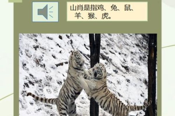 黄土高坡与生肖之谜-红迪亚