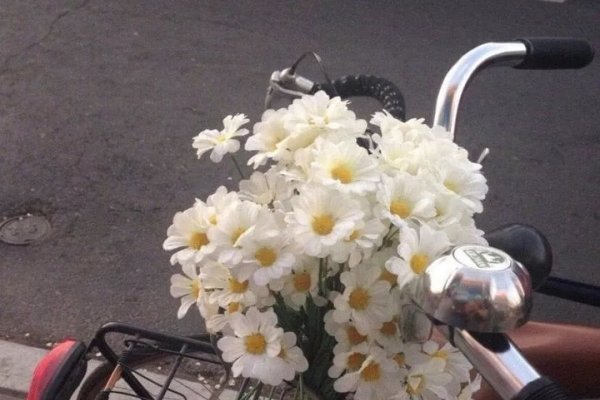 好听女生昵称精选-红迪亚