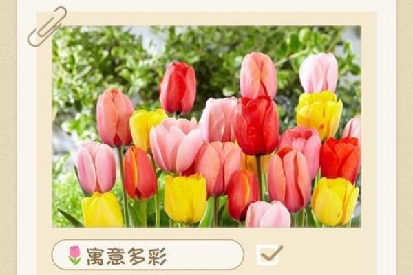 花瑞，吉祥花朵的象征与美好征兆的解释-红迪亚