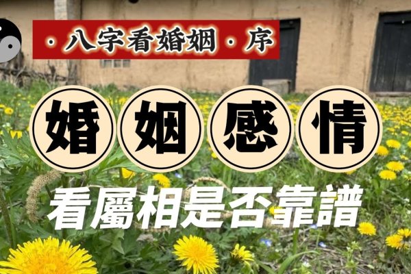 婚姻运势秘传，八字看婚姻精准分析-红迪亚
