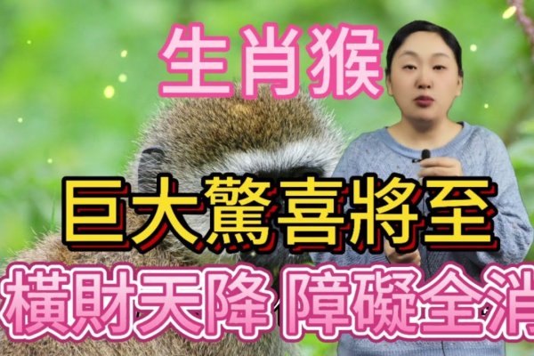 火眼金睛精准生肖,猴-红迪亚