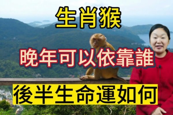 后院种树指猴生肖。-红迪亚