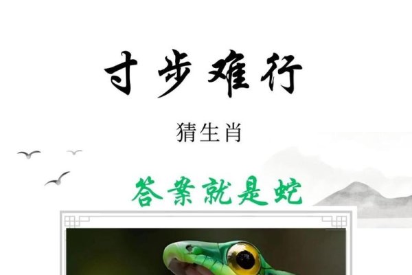 恨之入骨，答案锁定生肖蛇-红迪亚