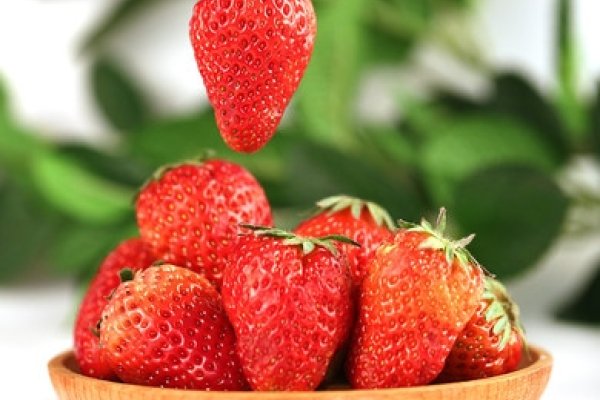 久草平台使用指南及草莓品种比较，红颜与久久哪个更合你口味？-红迪亚