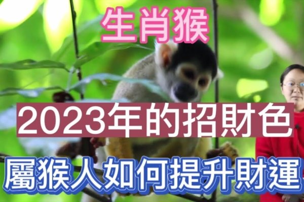 见财起意生肖猴-红迪亚