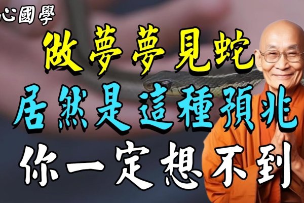 解读梦境中打蛇的吉凶寓意与人生启示-红迪亚