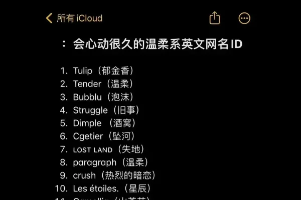 简短有意义的英文ID推荐，Curtain、Allure Love等，寓意丰富且独特-红迪亚