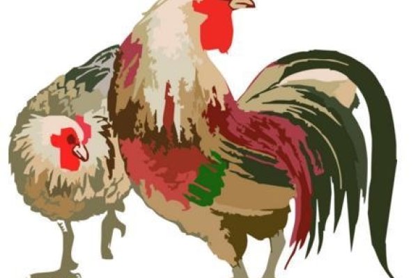 金风送爽与生肖，猴、鸡或虎？取名建议及文化解读-红迪亚