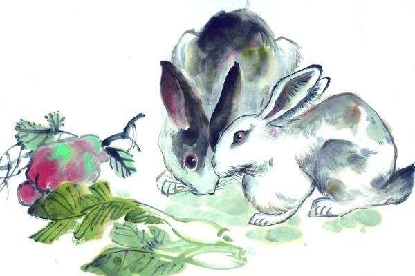 家花与兔香生肖映。-红迪亚