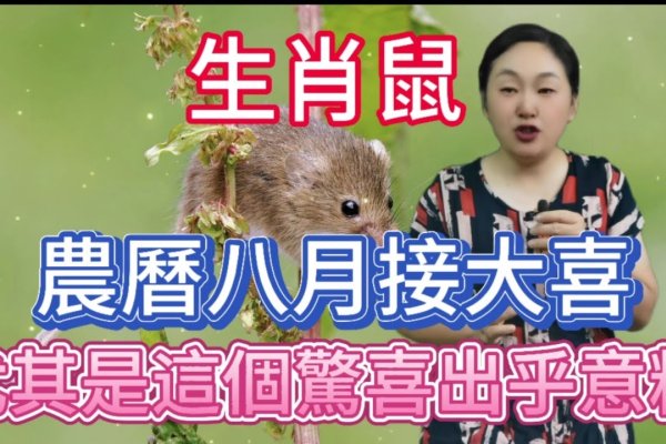 九九重阳生肖鼠-红迪亚