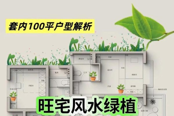 家居风水植物摆放指南-红迪亚