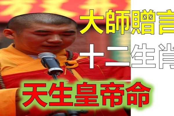 将计就计揭秘生肖之谜，从牛到兔，智慧与策略的生肖象征-红迪亚