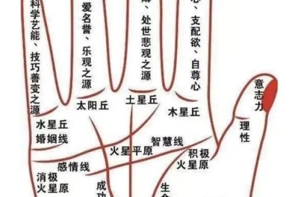 健康线影响财富，解读掌纹中的健康线索-红迪亚