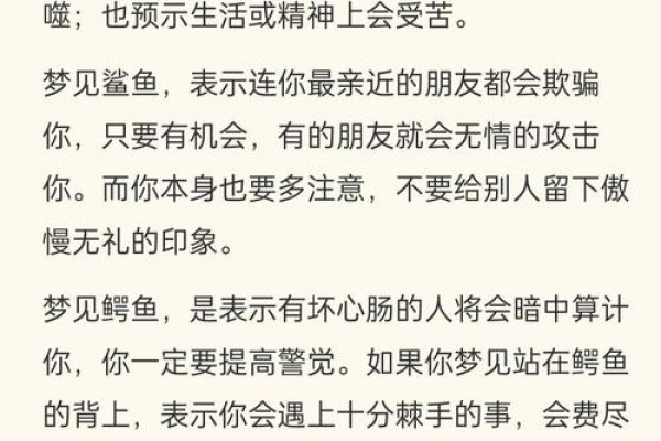 解梦大全，鳄鱼与白光的梦境解析及水泥路象征意义-红迪亚