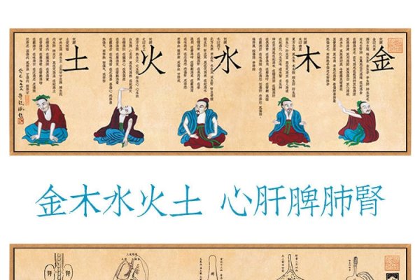 金木水火土命解析-红迪亚