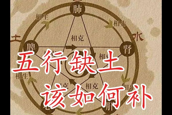 金牛宝宝五行缺土命祥分析-红迪亚