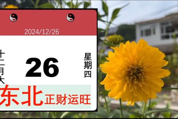 今日财运方位正东解析。-红迪亚