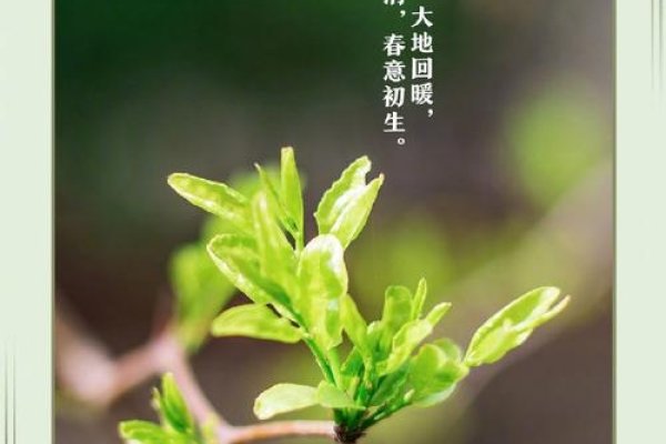 今日立春，2月4日，具体时间为10点42分21秒。标志着春天的开始和万物复苏的季节到来。-红迪亚