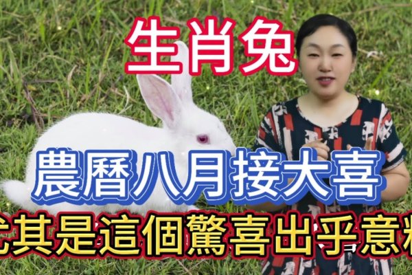 今日属相为生肖兔-红迪亚