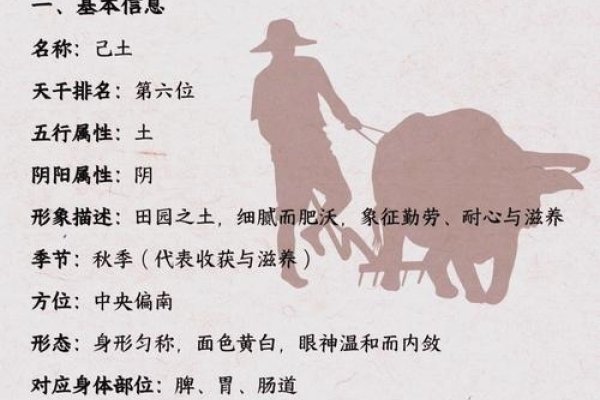 己土生于未月，命理特点与性格展望-红迪亚