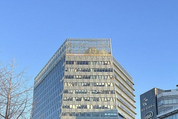 江同聊天室登录问题解析，网络及服务器原因-红迪亚