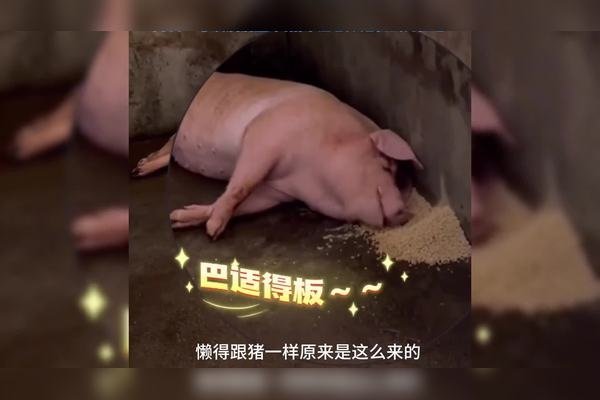 酒囊饭袋喻生肖猪，懒贪吃象征，寓意庸碌无能。-红迪亚