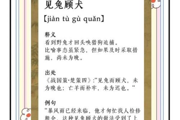 见兔顾犬指的是生肖狗，该成语源自古代故事，描述的是看到兔子后才唤猎犬去追捕的情景。在十二生肖中，狗是忠诚和勇敢的象征。-红迪亚