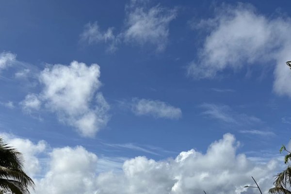 家族名字符号的独特魅力-红迪亚