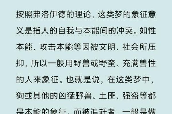 建议，被狼狗追赶的梦境解析与预示意义-红迪亚