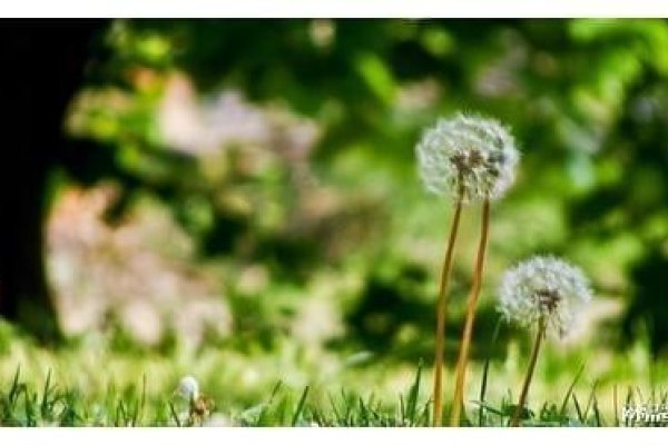 静心昵称推荐，寒心若冰、自律归真。寓意内心冷静，坚韧不拔。-红迪亚