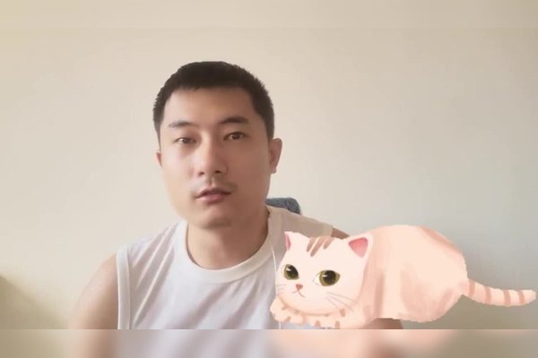 建议，名字大全与独特昵称灵感，招财猫咪命名攻略及商标取名参考-红迪亚