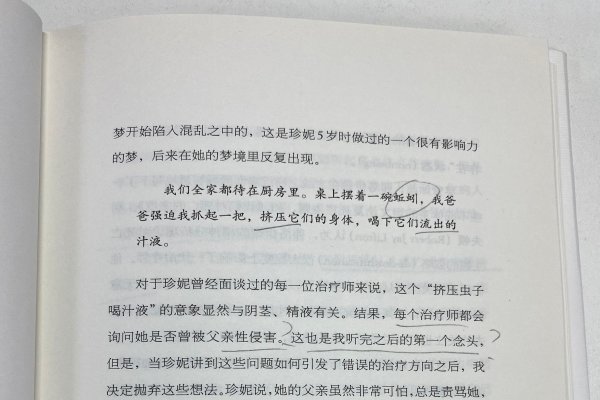 建议，梦境解析，梦见被性侵、与男神入梦等，揭示深层心理需求及情感投射-红迪亚
