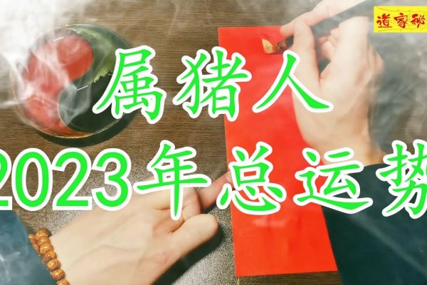 建议，，揭秘属猪人的大海水命，性格特质与命运解析（1983年属猪的五行属性详解）。-红迪亚