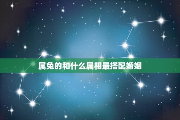 建议，，属兔人的年龄分布与最佳结婚对象分析（以1999年出生为例）。-红迪亚