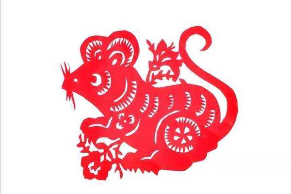 建议，，揭秘属鼠人在2023年的运势走向，把握关键机遇与挑战并存的一年！-红迪亚