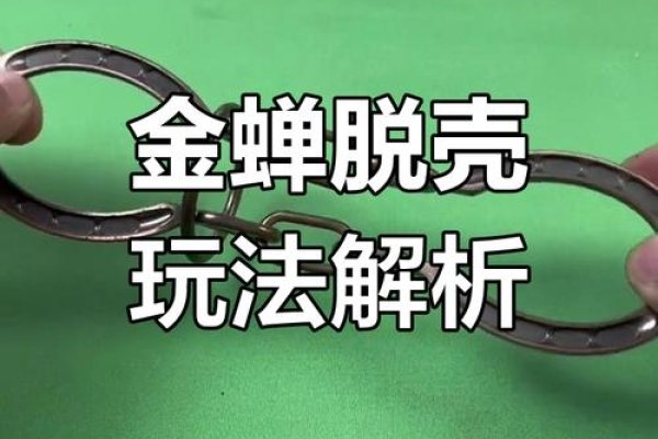 金蝉脱壳之梦解析-红迪亚