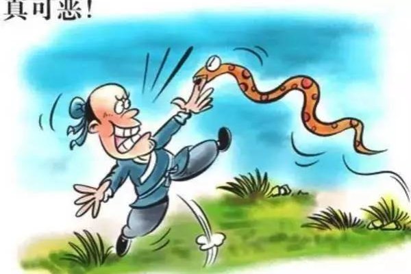 建议，，梦见打死蛇的寓意与解析，预示积极变化与健康状态-红迪亚