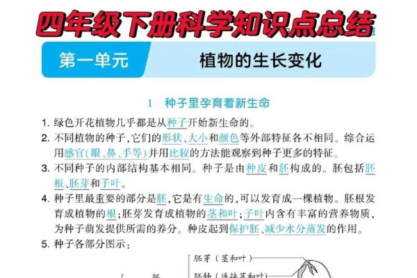 建议，种子搜索揭秘，百度网盘探寻与知识科普简洁明了，涵盖了内容的主要点。-红迪亚