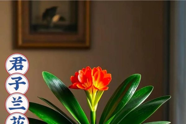 家里最旺财的十种花，君子兰，夜色苍翠有光泽，花朵形似火炬，象征着美好高尚的品质和招财旺财。其寓意富贵吉祥、繁荣昌盛、幸福美满。，水仙兰，美若仙女，花香醇芬幽远，同样具有招财之意。，金桔树，金桔寓意吉祥富贵，花开如锦绣般绚烂夺目。，牡丹花，作为国花的牡丹，自古备受喜爱且被誉为富贵花，寿命长且有祥瑞之气。，发财树，叶片饱满茂密，象征财运滚滚而来。适合新店开业或居家摆放等场合。，其他推荐花卉包括虎皮兰、兰花系列的花卉以及吊兰、鸿运当头等。-红迪亚