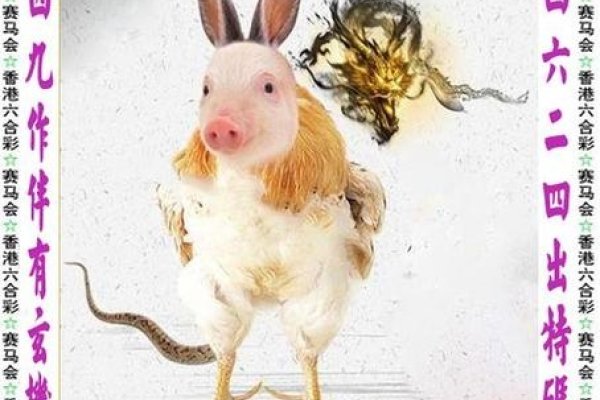 家有才女生肖鸡-红迪亚