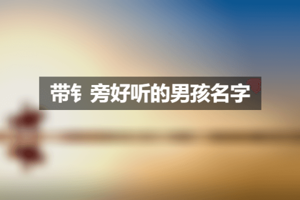 金字旁男孩名字寓意推荐，好听的金字旁男孩名大全-红迪亚