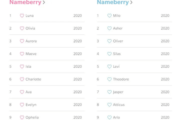 精准匹配的英文名推荐网站，Special name与Nameberry等特色平台介绍-红迪亚
