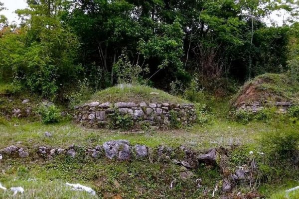 家中祖坟公鸡鸣啼预兆大人物-红迪亚