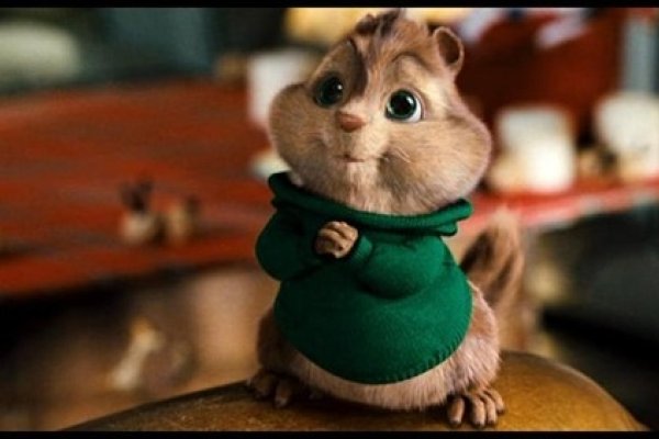 可爱宠物名字精选，志宝、安琪与招财猫命名推荐-红迪亚