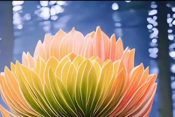 开花结果的生肖是猴。-红迪亚