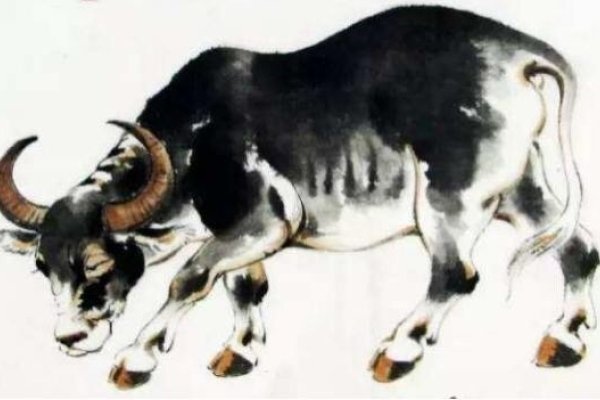 苦尽甘来，生肖牛坚韧象征。-红迪亚