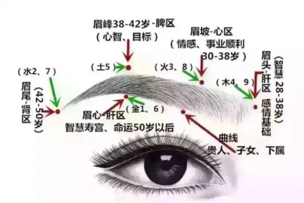 看面相判断生男生女，眉毛透露玄机，人中预测男女概率-红迪亚