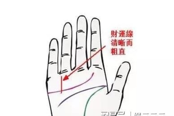 看手相，左右兼顾，不分男女-红迪亚